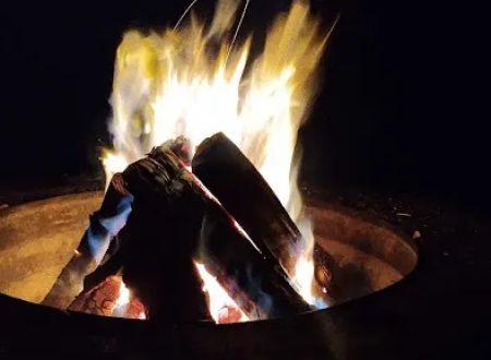 Little Lake State Forest Campground