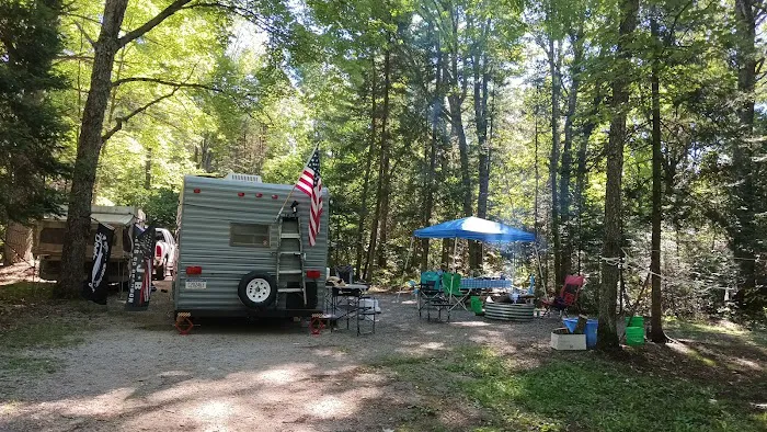 Little Lake State Forest Campground Picture 4