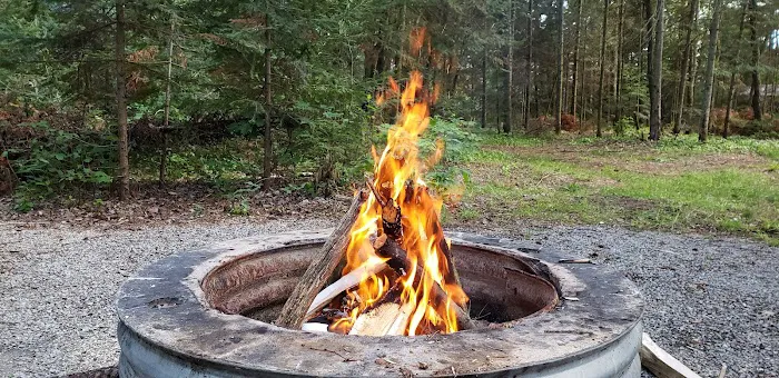Little Lake State Forest Campground Picture 7