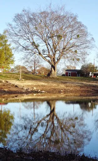 Shady Lake RV Park Picture 4