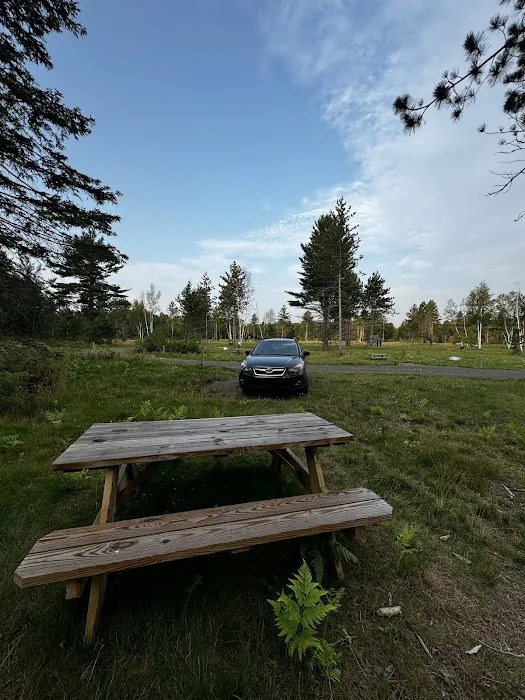 Brasswire Campground Picture 9
