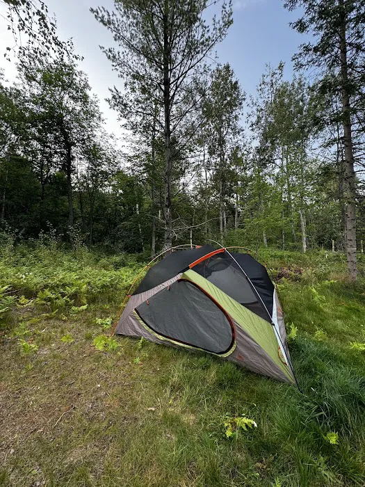 Brasswire Campground Picture 10