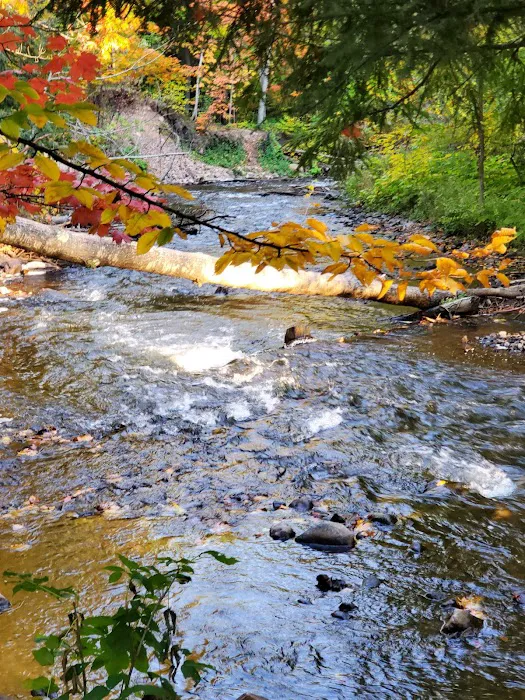 Rippling River Resort Picture 6