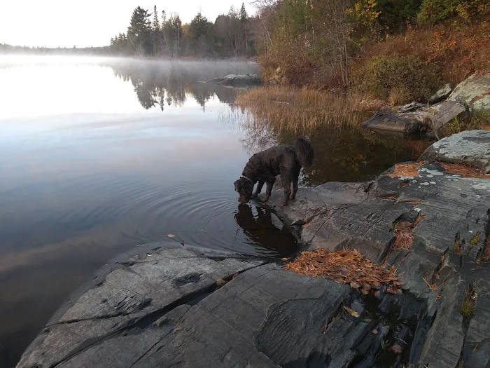 Perch Lake Campground Picture 2