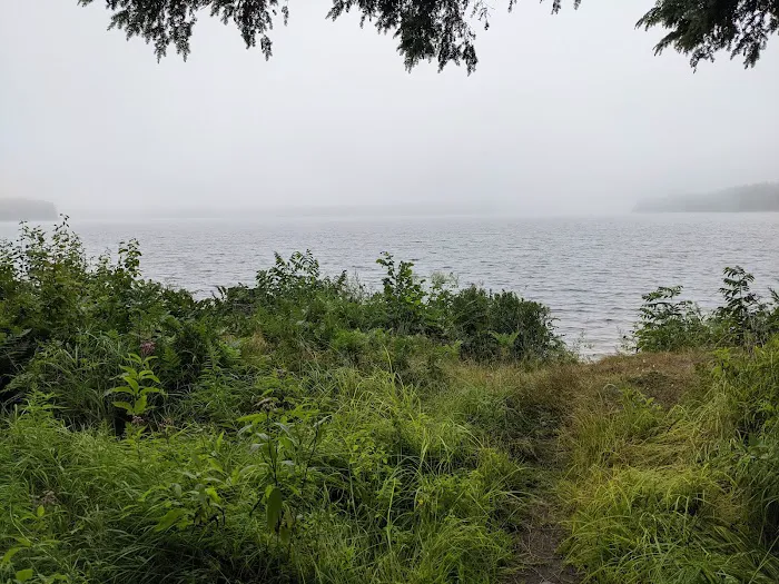 Perch Lake Campground Picture 3