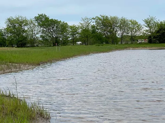 Freedom Birds RV Park Picture 2