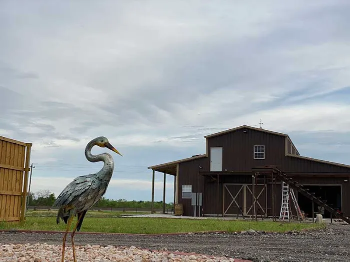Freedom Birds RV Park Picture 7