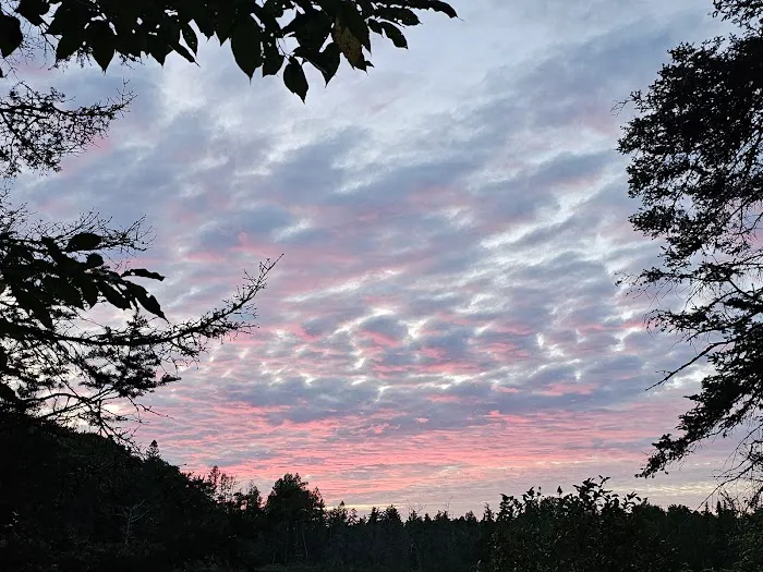 King Lake State Forest Campground Picture 1