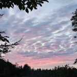 King Lake State Forest Campground
