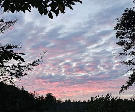 King Lake State Forest Campground