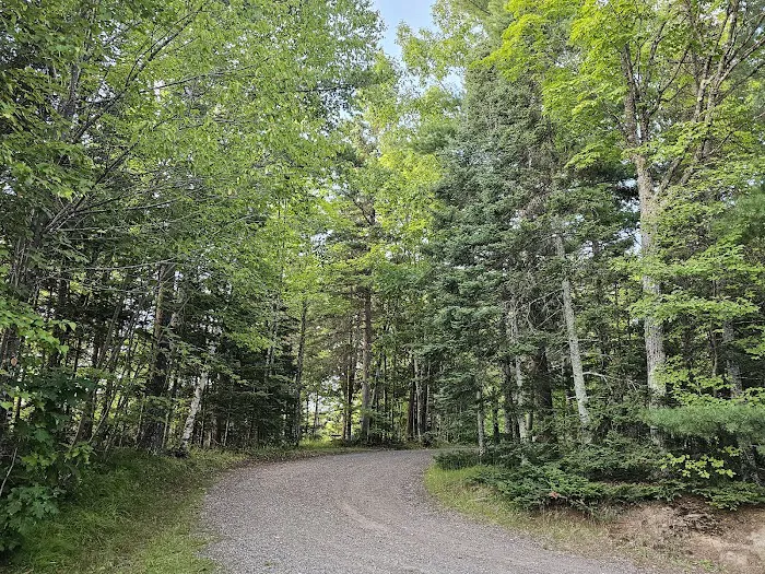King Lake State Forest Campground Picture 3