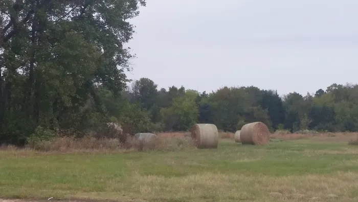Still Meadow RV Park Picture 10