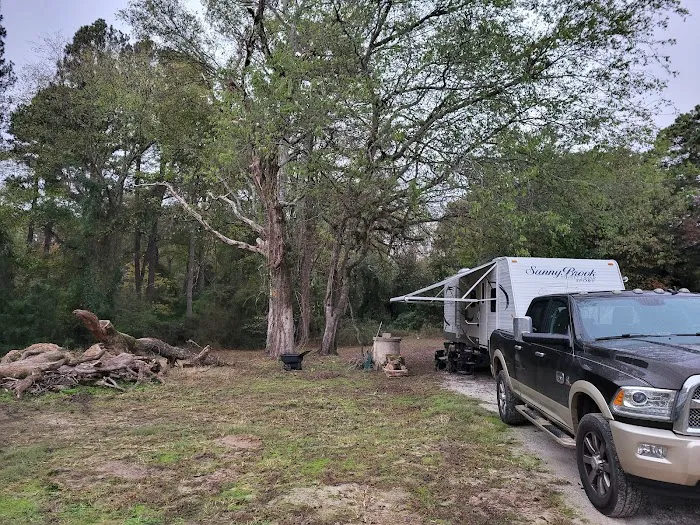 Lake Cypress Springs RV Park Picture 1