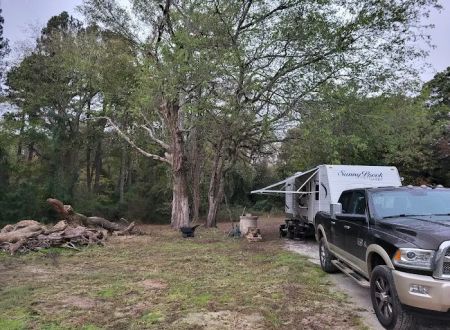 Lake Cypress Springs RV Park