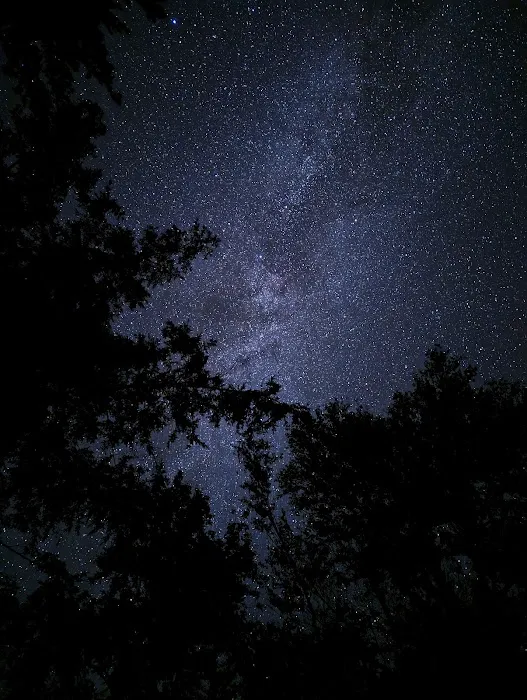 Golden Lake Campground Picture 2