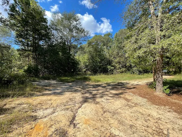 Shady Pines RV Park Picture 7