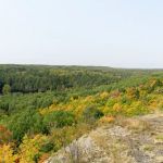 Lower Dam Lake Campground