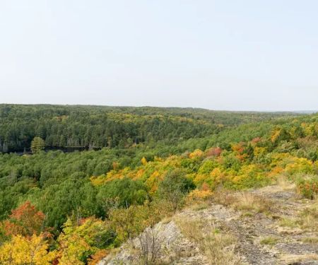 Lower Dam Lake Campground