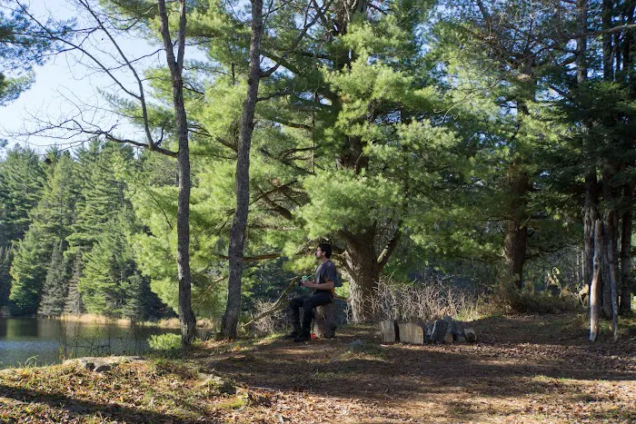 Lower Dam Lake Campground Picture 3