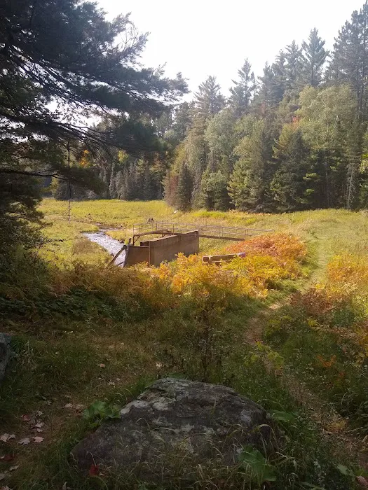 Lower Dam Lake Campground Picture 6