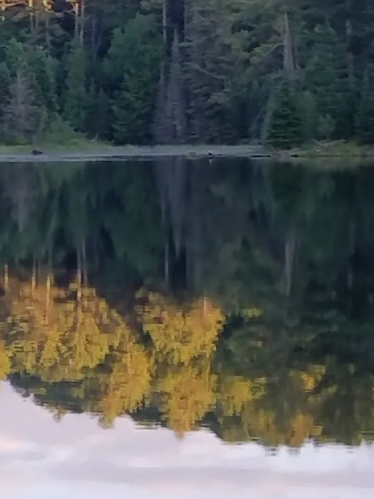 Lower Dam Lake Campground Picture 4