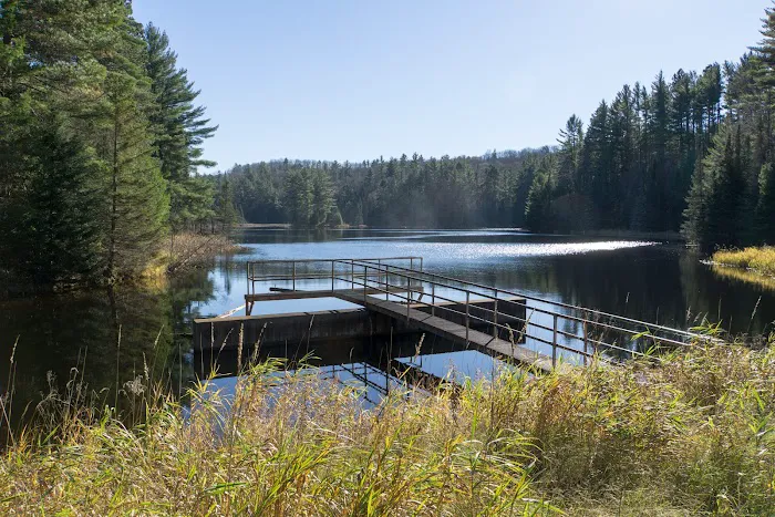 Lower Dam Lake Campground Picture 2