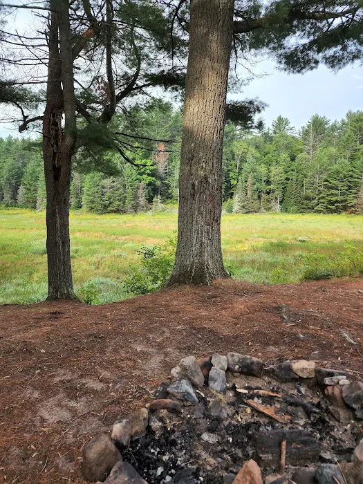 Lower Dam Lake Campground Picture 9