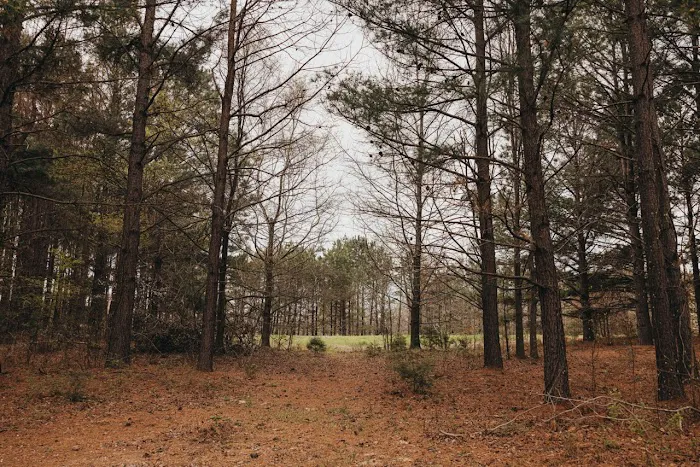 G & K RV Park Picture 6