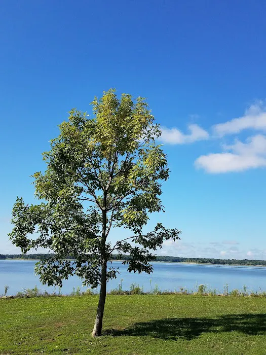 BRIDGEVIEW (RATHBUN LAKE) (recgovnpsdata) Picture 10