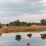 Crazy Acres
