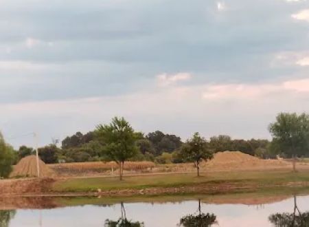 Crazy Acres