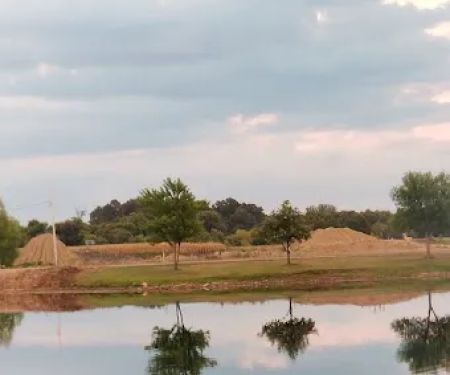 Crazy Acres