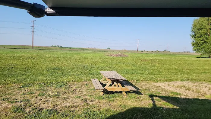 Crazy Acres Picture 4