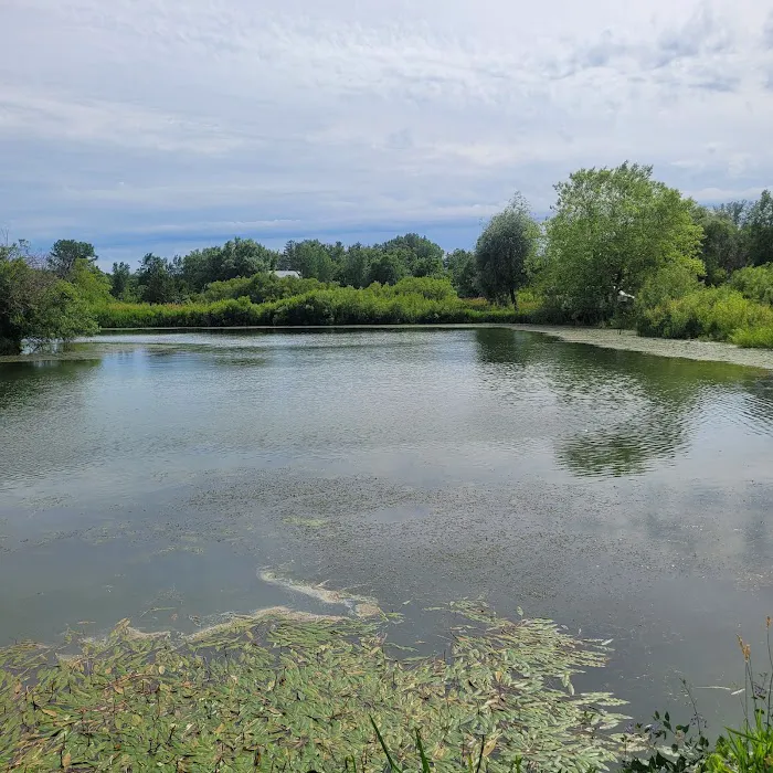 Spring valley ponds campground Picture 6