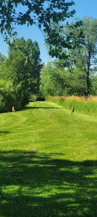 Spring valley ponds campground Picture 5