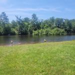 Snyder County Park & Campground