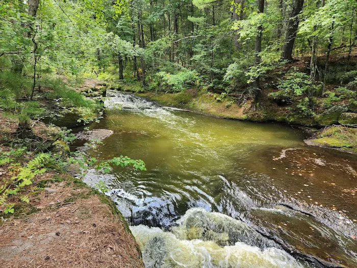 Coon Fork Campground Picture 4