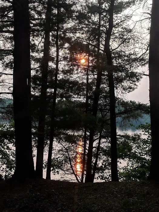 Coon Fork Campground Picture 8