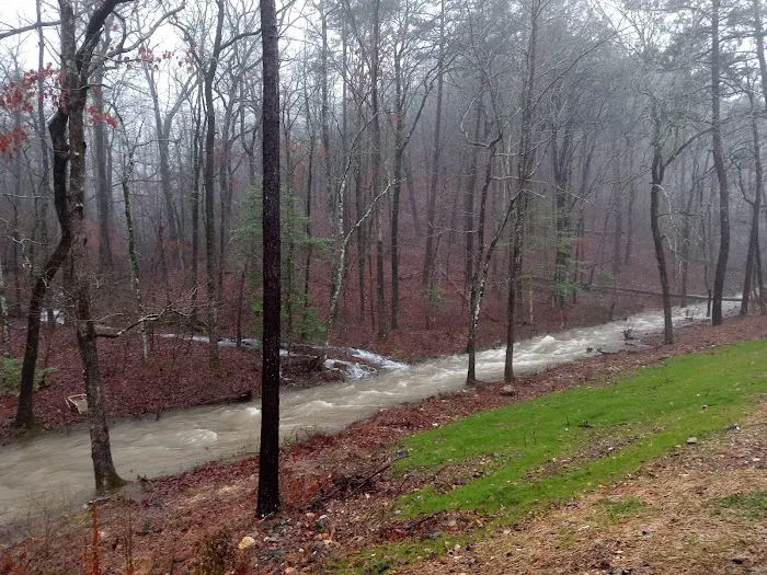 Mill Pond Village Mobile Home & R.V. Park Picture 2