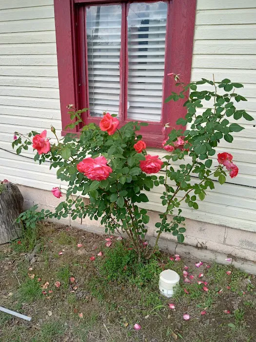 Mill Pond Village Mobile Home & R.V. Park Picture 6