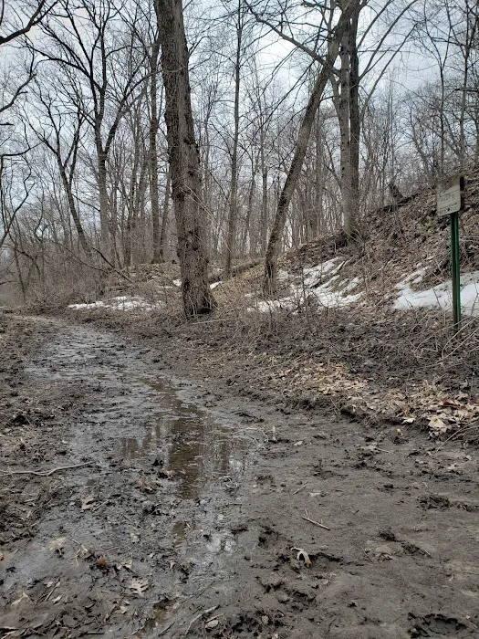 Cedar Bridge Park Picture 5