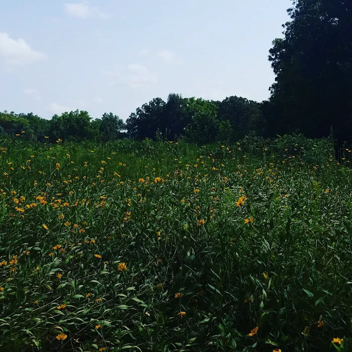 Cedar River Sportsman's Park Picture 1