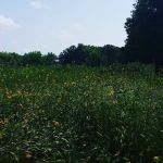Cedar River Sportsman's Park