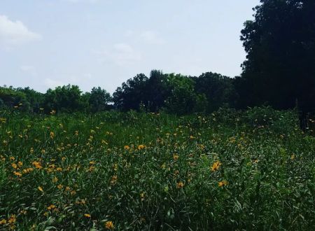 Cedar River Sportsman's Park