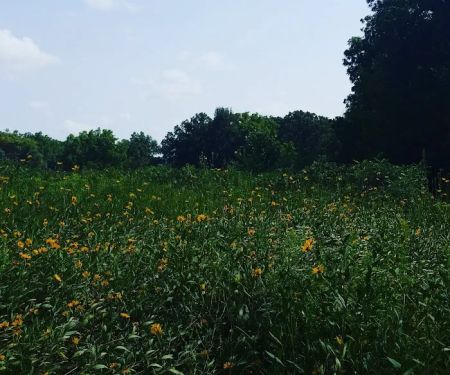 Cedar River Sportsman's Park