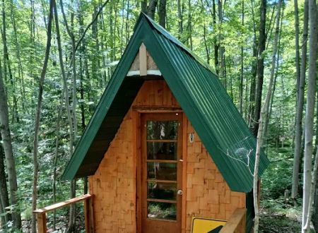 The Wellness Retreat