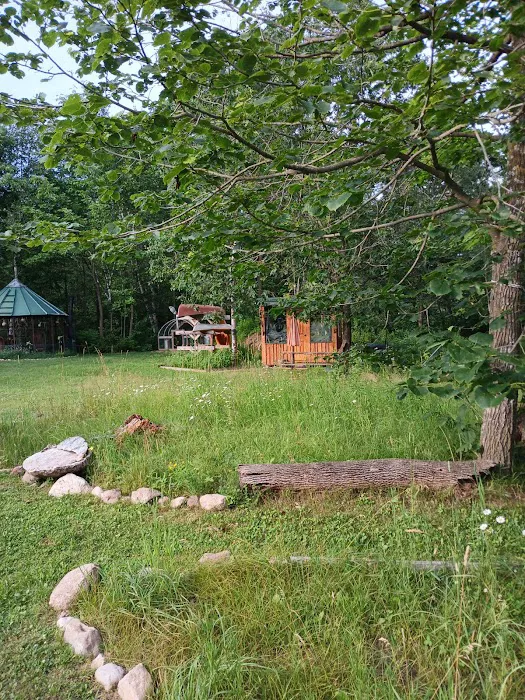 The Wellness Retreat Picture 6