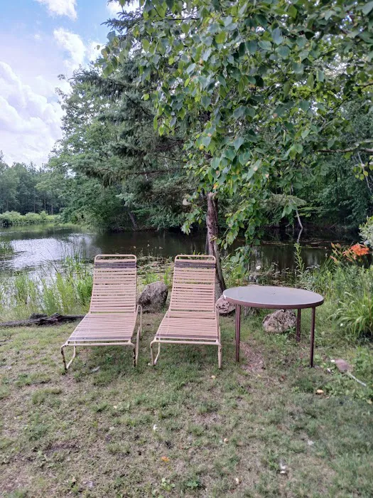 The Wellness Retreat Picture 9