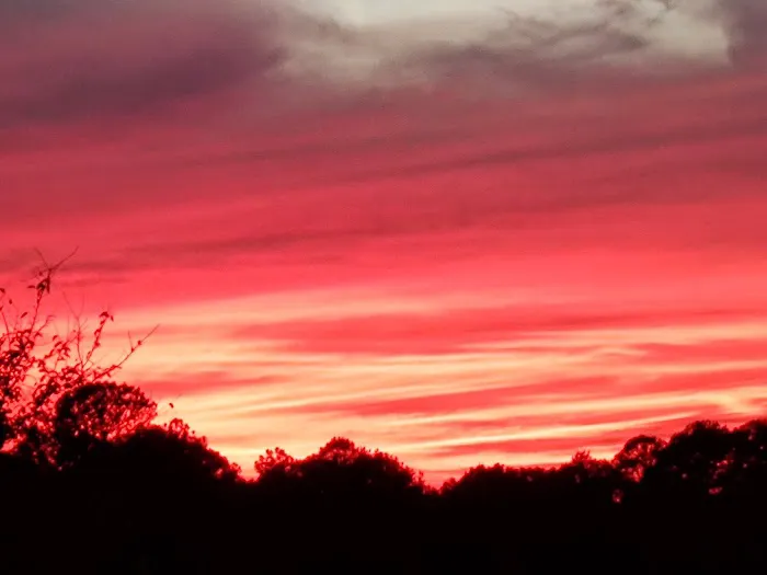 Hot Rod Hill RV Park Picture 1