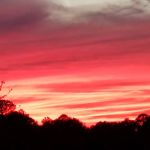 Hot Rod Hill RV Park